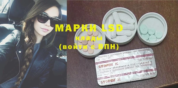 apvp Белокуриха