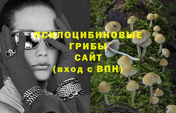 apvp Беломорск