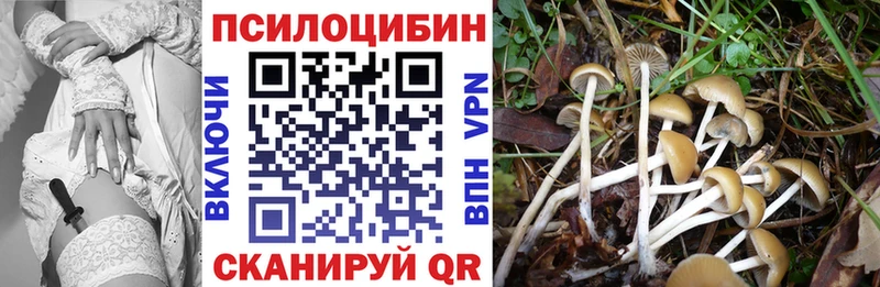 Галлюциногенные грибы MAGIC MUSHROOMS  Нижние Серги 